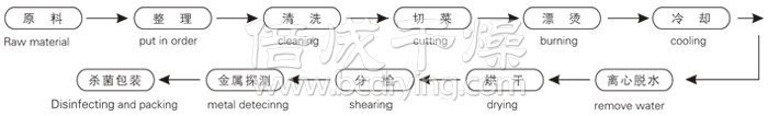 脱水蔬菜带式干燥工艺流程